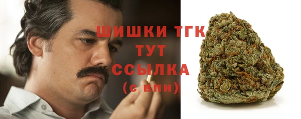 spice Белокуриха