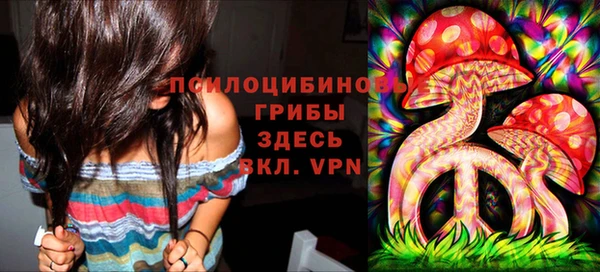спиды Балахна