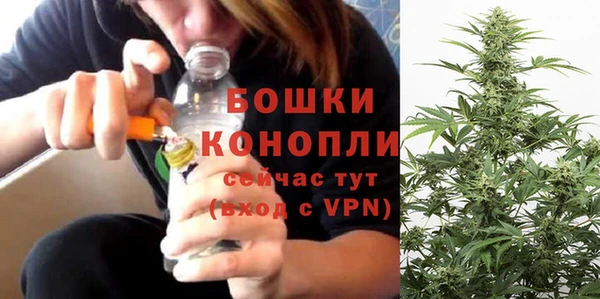 spice Белокуриха