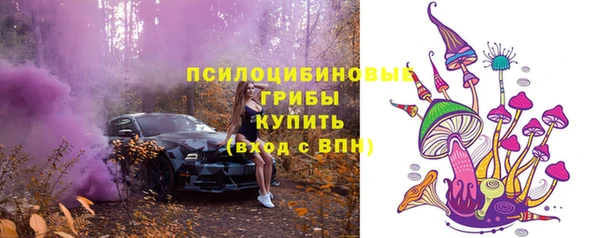 спиды Балахна